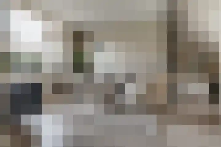 Sperwerstraat 55 Didam thumbnail 6