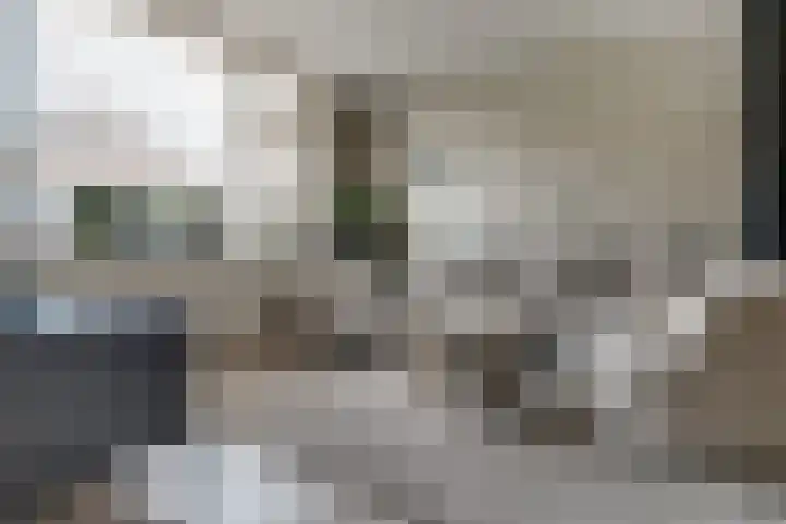 Sperwerstraat 55 Didam thumbnail 7
