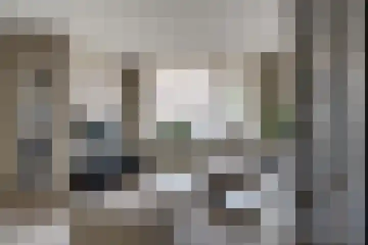 Sperwerstraat 55 Didam thumbnail 8