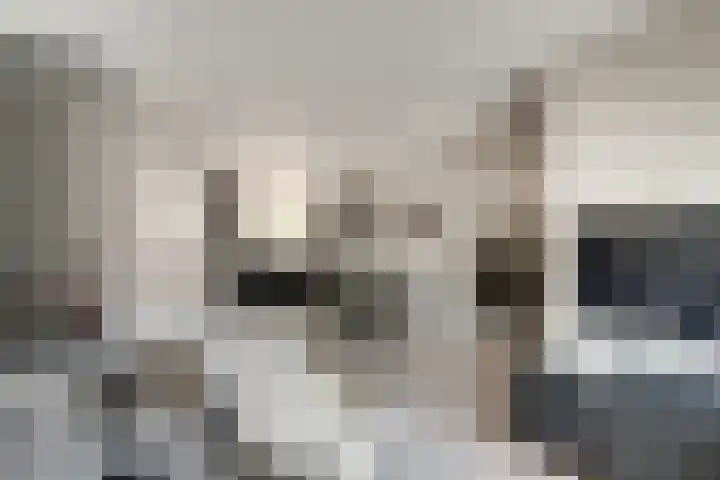 Sperwerstraat 55 Didam thumbnail 9