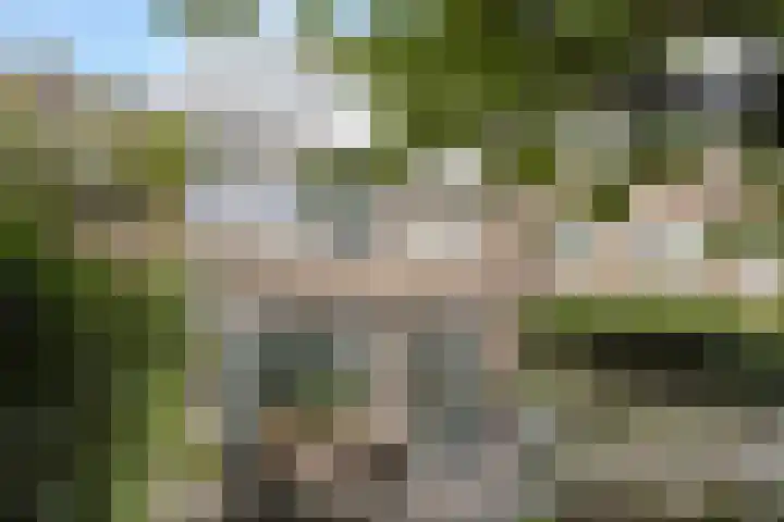 Sperwerstraat 7 Nijmegen thumbnail 32
