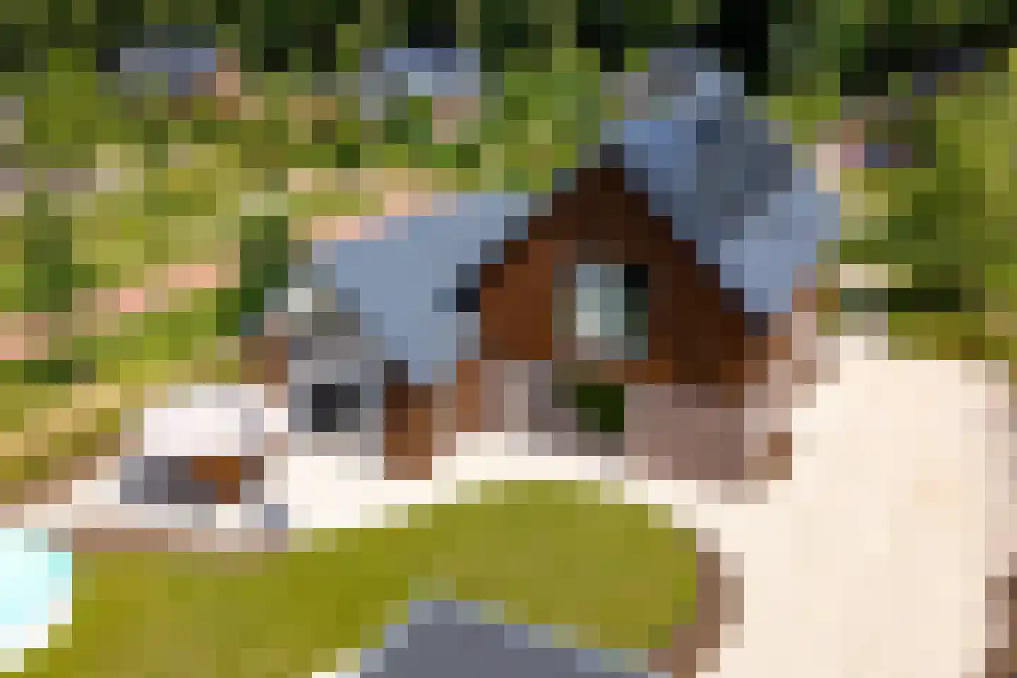 Speulderbos 11 Almere thumbnail 4