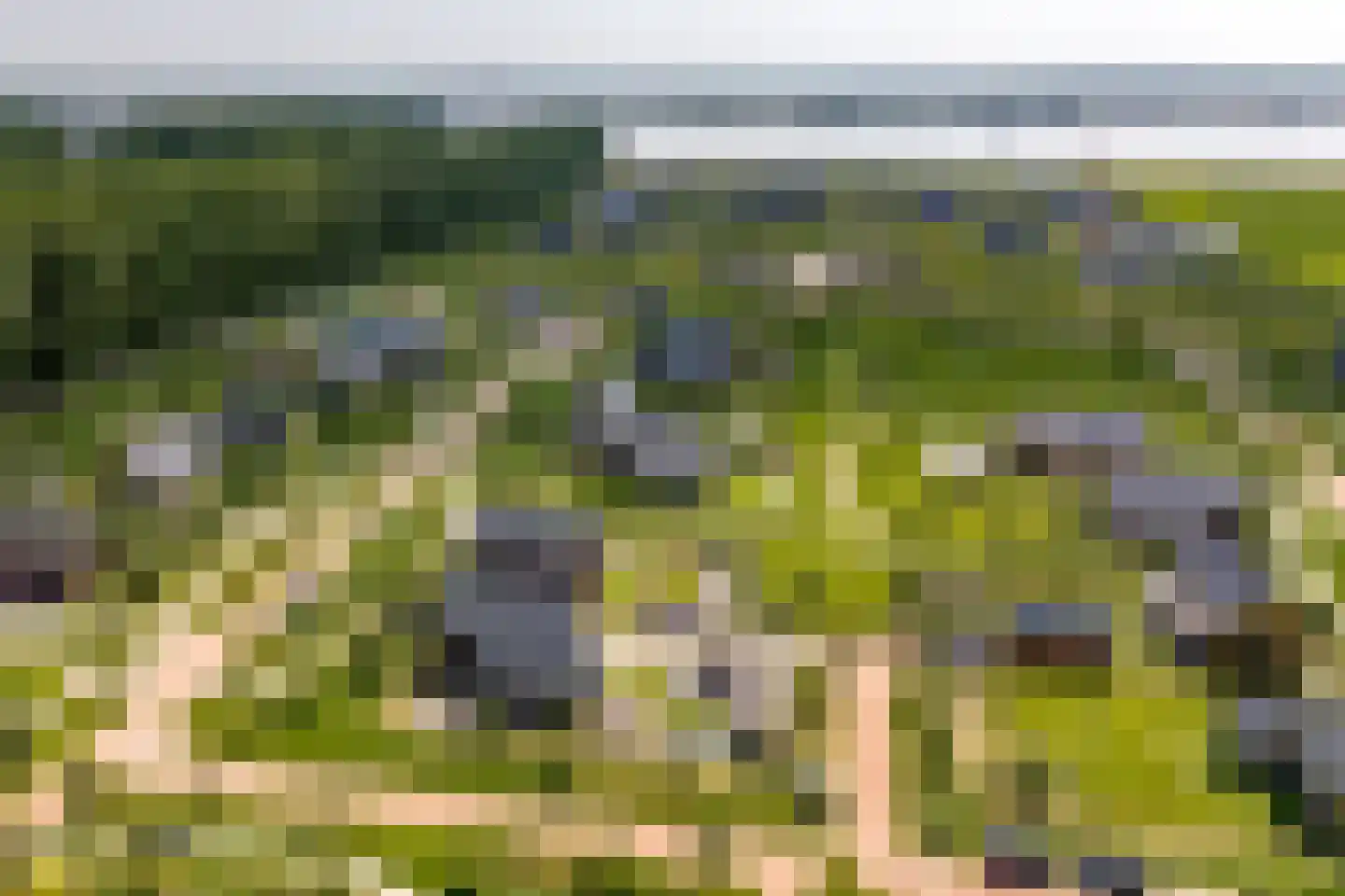Speulderbos 11 Almere thumbnail 86