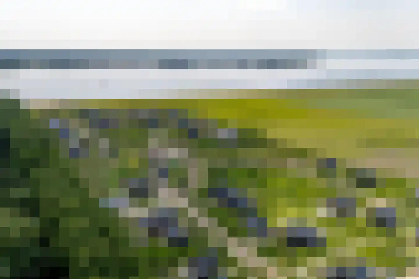 Speulderbos 11 Almere thumbnail 87