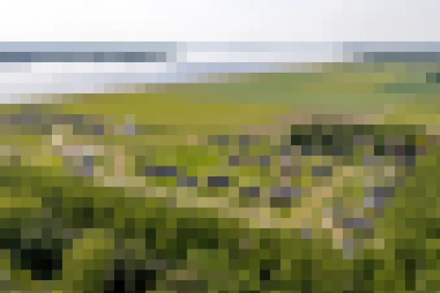 Speulderbos 11 Almere thumbnail 88
