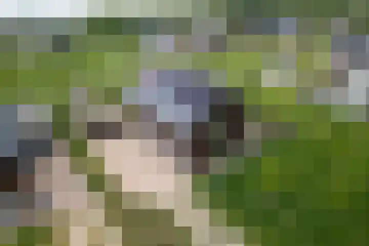 Speulderbos 3 Almere thumbnail 5