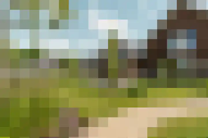 Speulderbos 3 Almere thumbnail 54