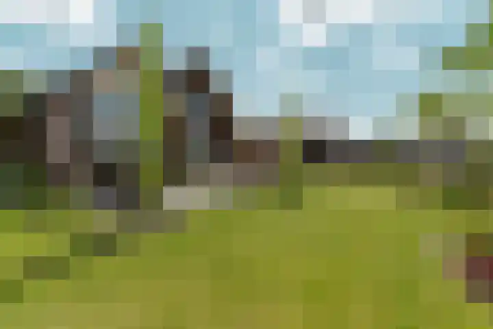 Speulderbos 3 Almere thumbnail 56