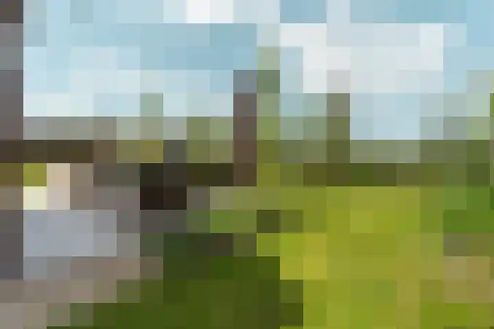 Speulderbos 3 Almere thumbnail 58