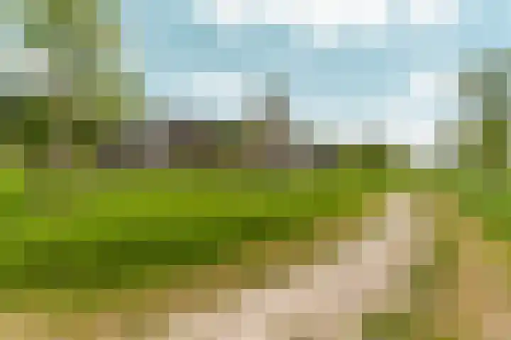 Speulderbos 3 Almere thumbnail 60