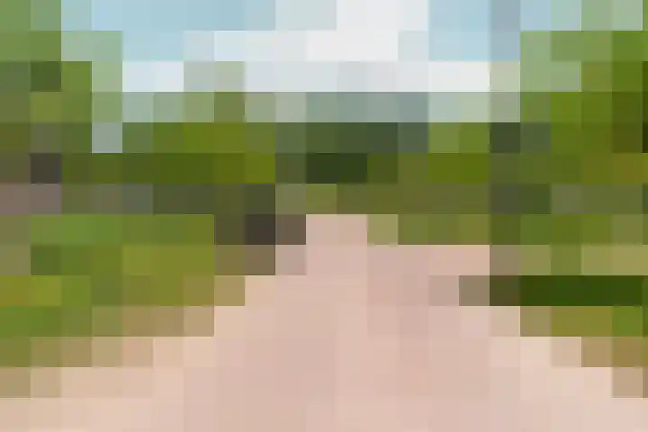 Speulderbos 3 Almere thumbnail 62
