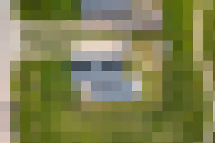 Speulderbos 3 Almere thumbnail 68