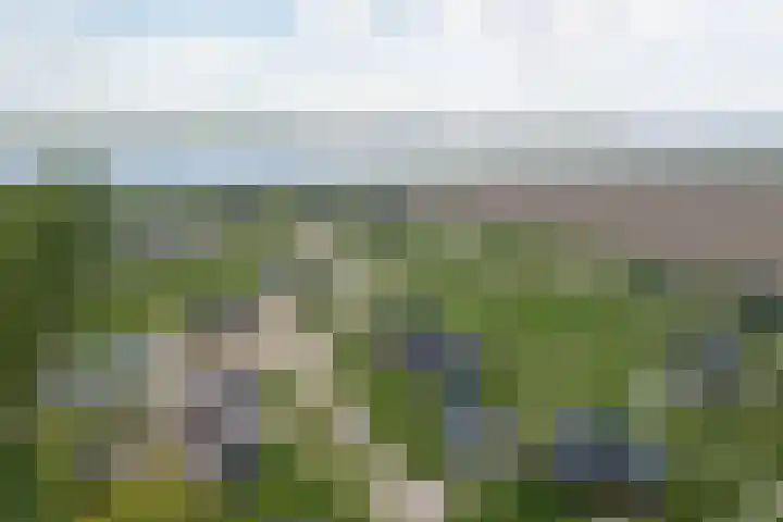 Speulderbos 3 Almere thumbnail 69