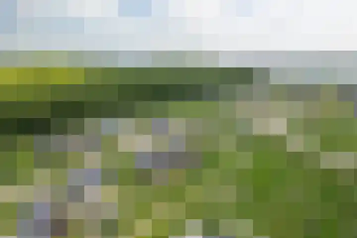 Speulderbos 3 Almere thumbnail 70