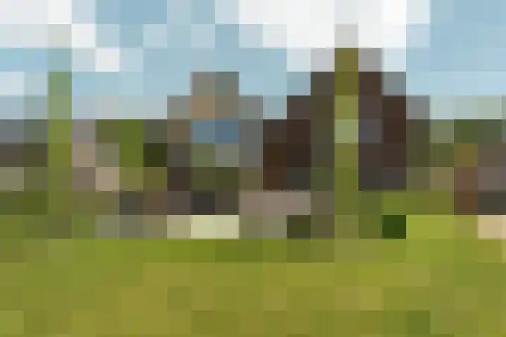 Speulderbos 3 Almere thumbnail 72