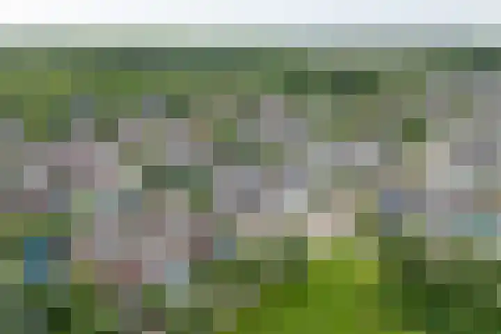 Speulderbos 63 Purmerend thumbnail 4
