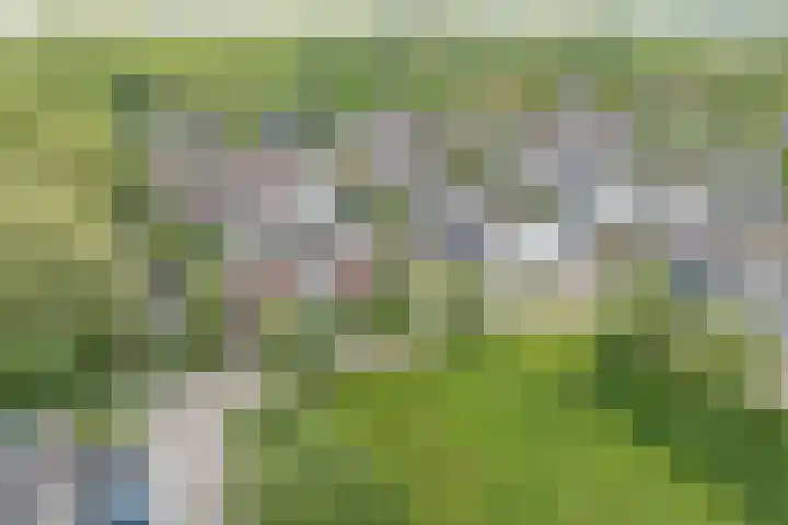 Speulderbos 84 Purmerend thumbnail 6