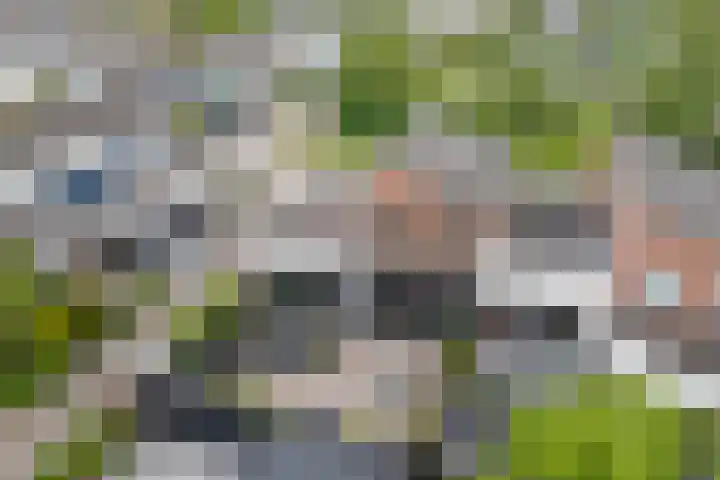 Speulderbos 84 Purmerend thumbnail 8