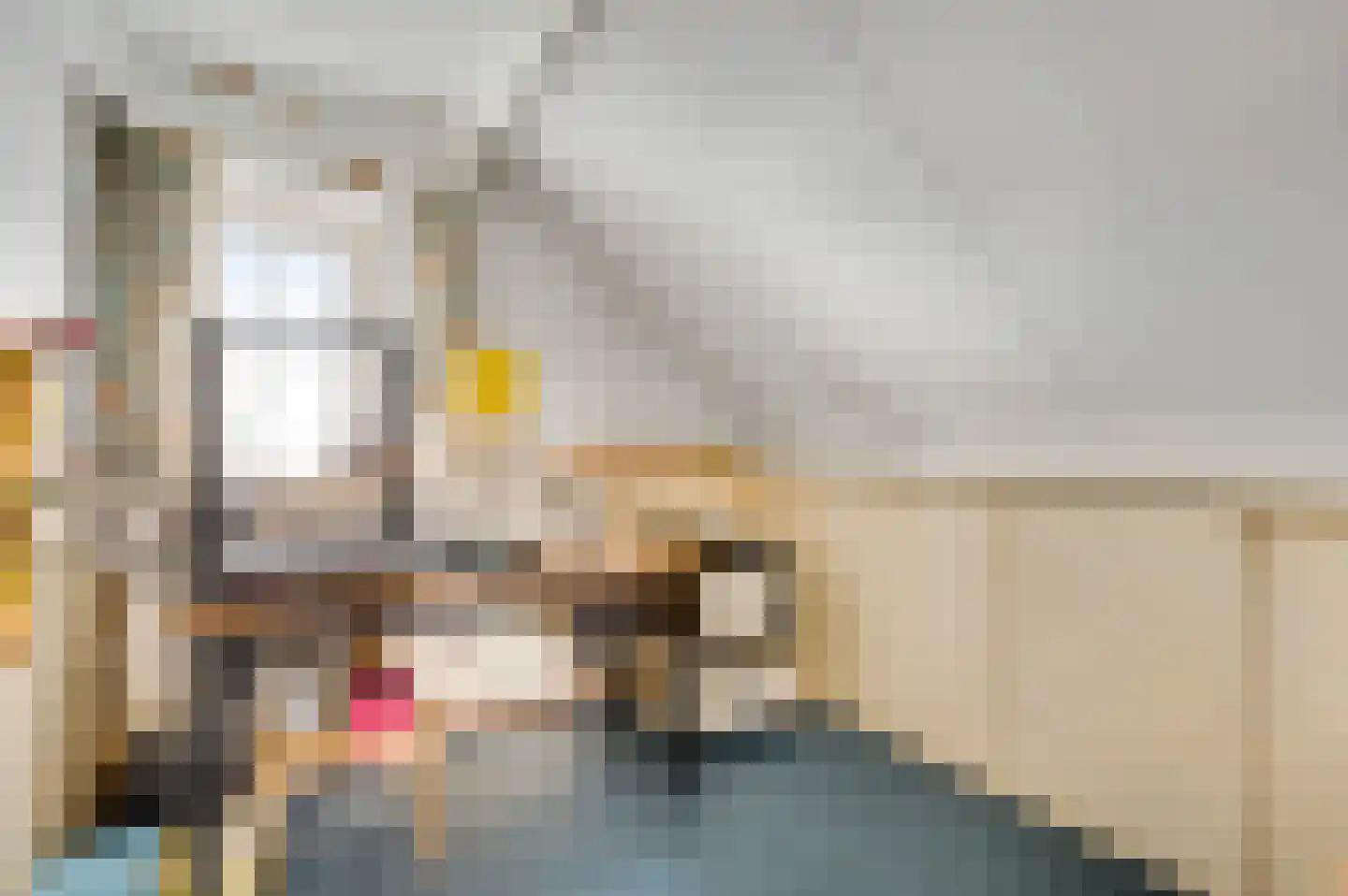 Speulhofsbaan 22 Meterik thumbnail 27