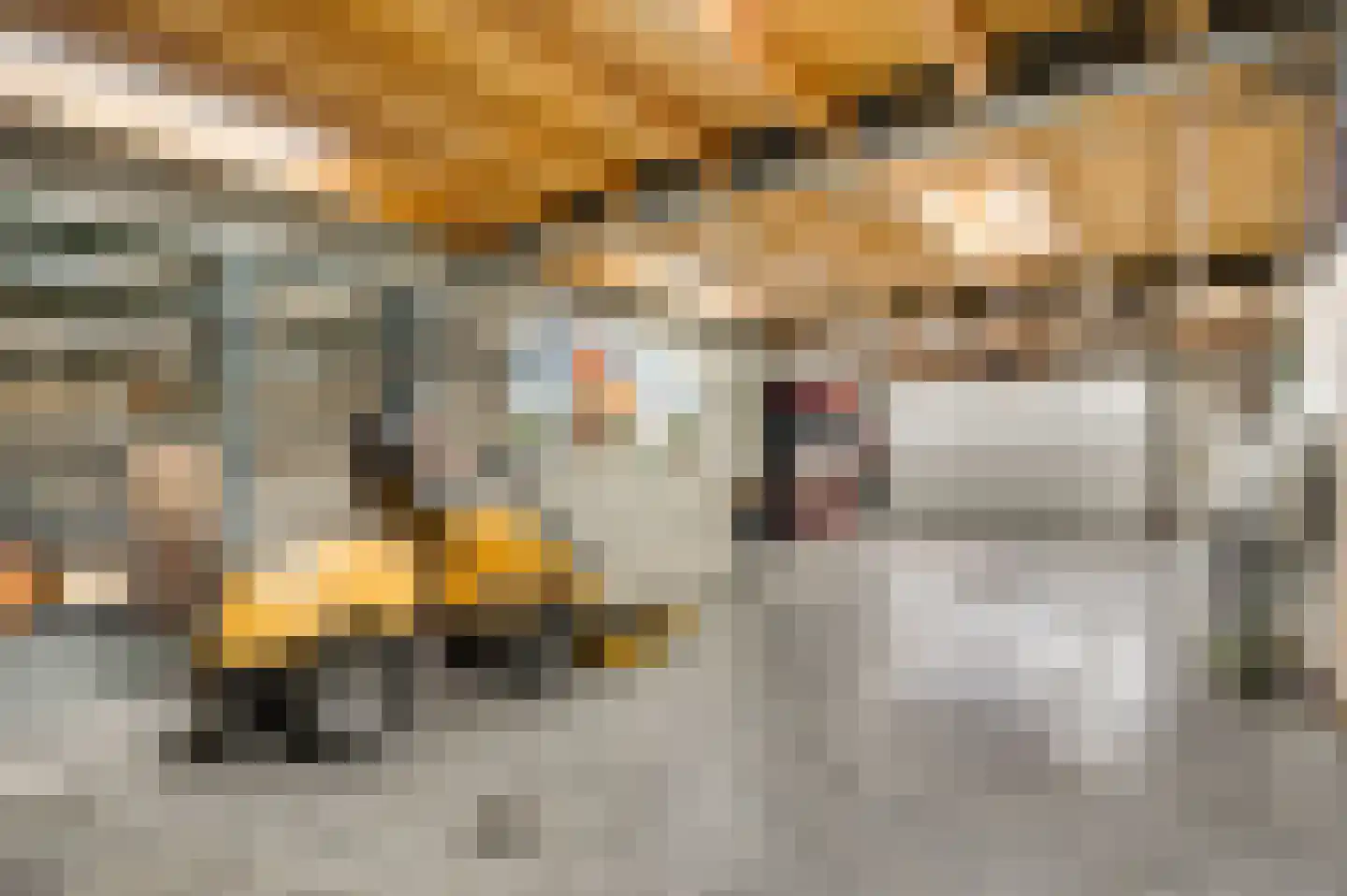 Speulhofsbaan 22 Meterik thumbnail 48