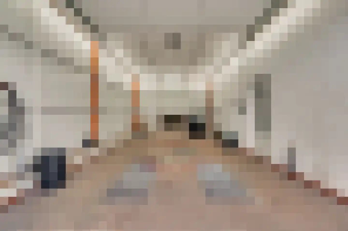 Speulhofsbaan 22 Meterik thumbnail 49