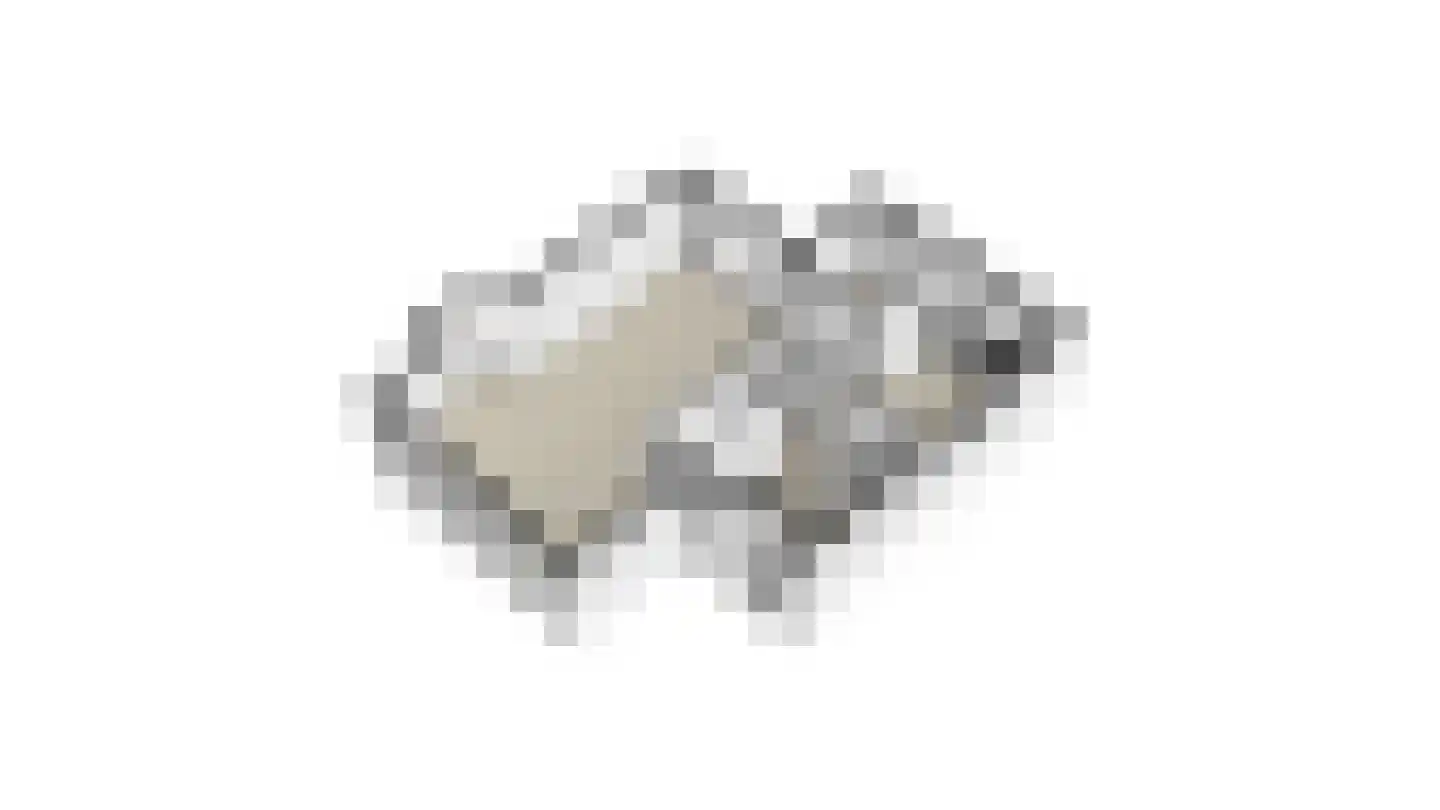 Speulhofsbaan 22 Meterik thumbnail 53
