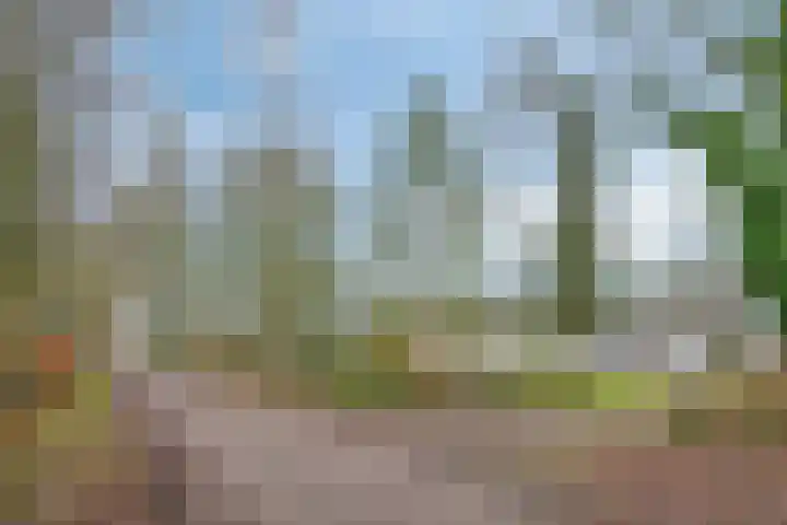 Speurgt 6 a Bakel thumbnail 10
