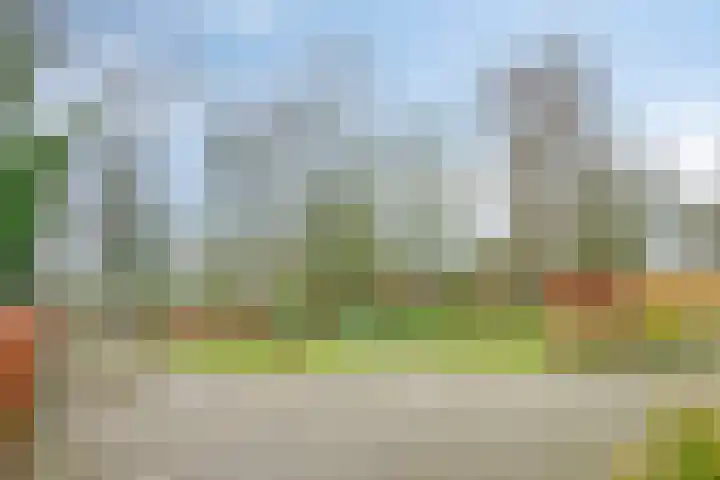 Speurgt 6 a Bakel thumbnail 11