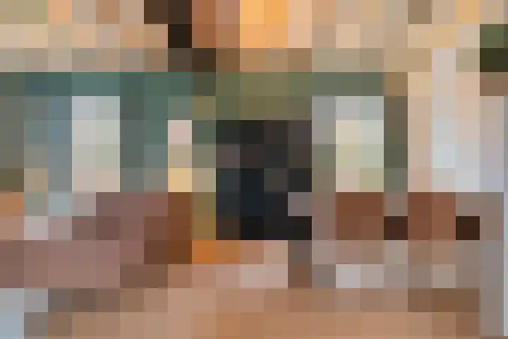 Speurgt 6 a Bakel thumbnail 14