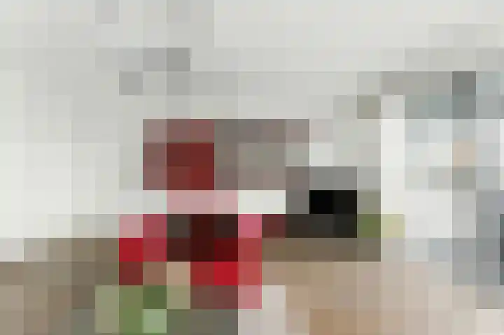 Speurgt 6 a Bakel thumbnail 15