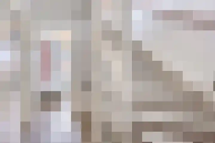 Speurgt 6 a Bakel thumbnail 27