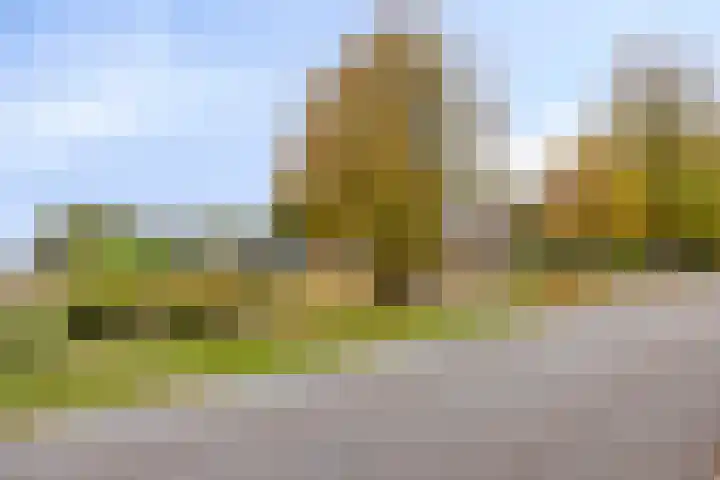 Speurgt 6 a Bakel thumbnail 32