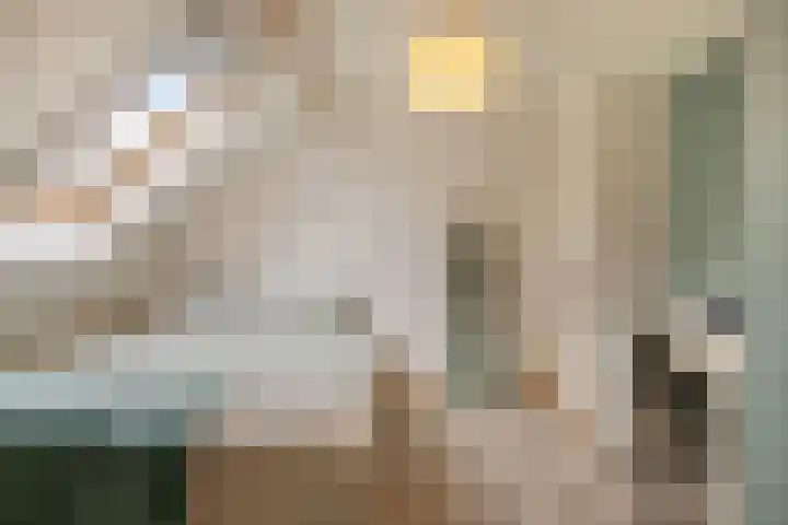 Speurgt 6 a Bakel thumbnail 32