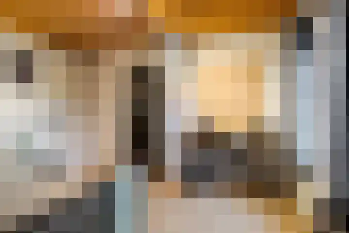 Speurgt 6 a Bakel thumbnail 37