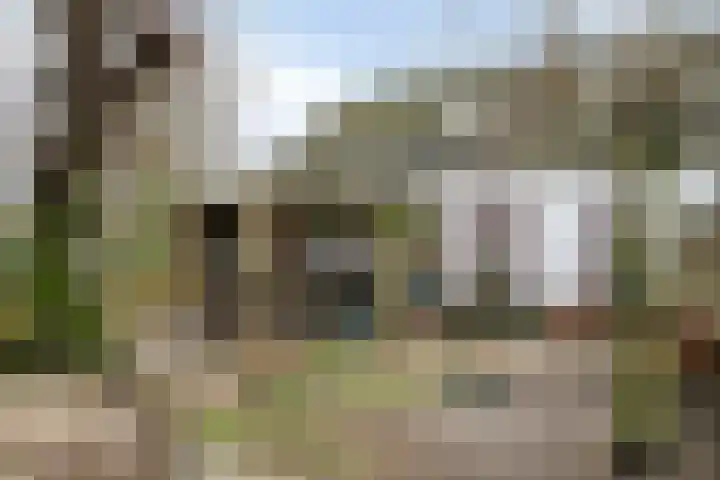 Speurgt 6 a Bakel thumbnail 40