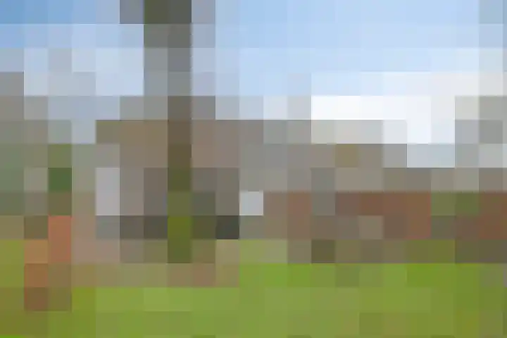 Speurgt 6 a Bakel thumbnail 41