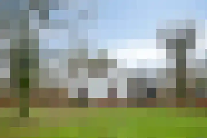 Speurgt 6 a Bakel thumbnail 43