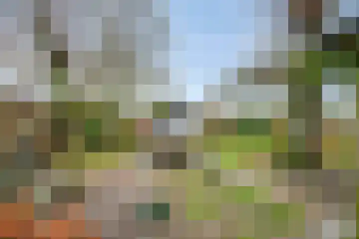 Speurgt 6 a Bakel thumbnail 44