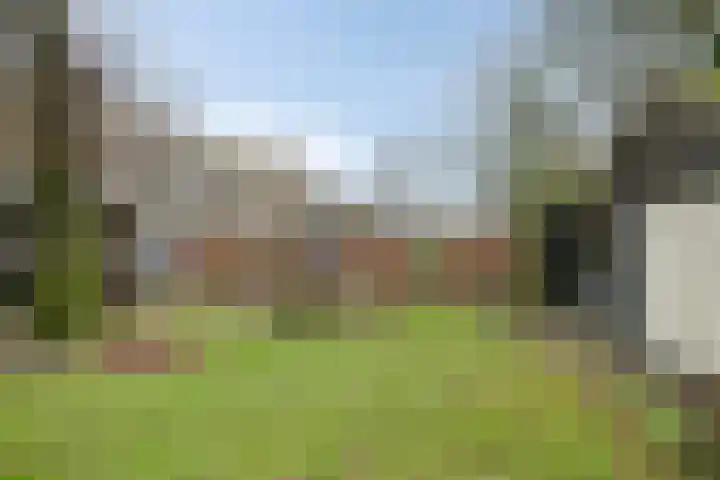 Speurgt 6 a Bakel thumbnail 45