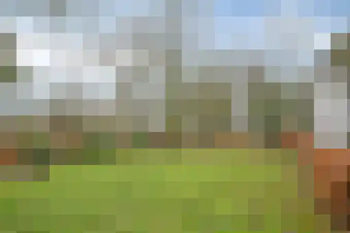Speurgt 6 a Bakel thumbnail 46