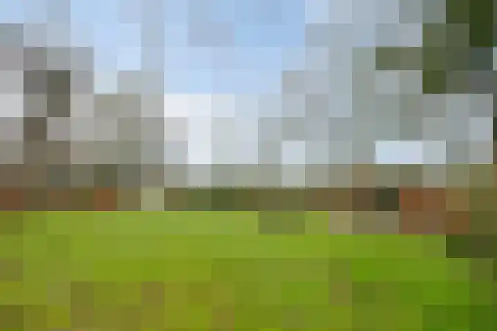 Speurgt 6 a Bakel thumbnail 47