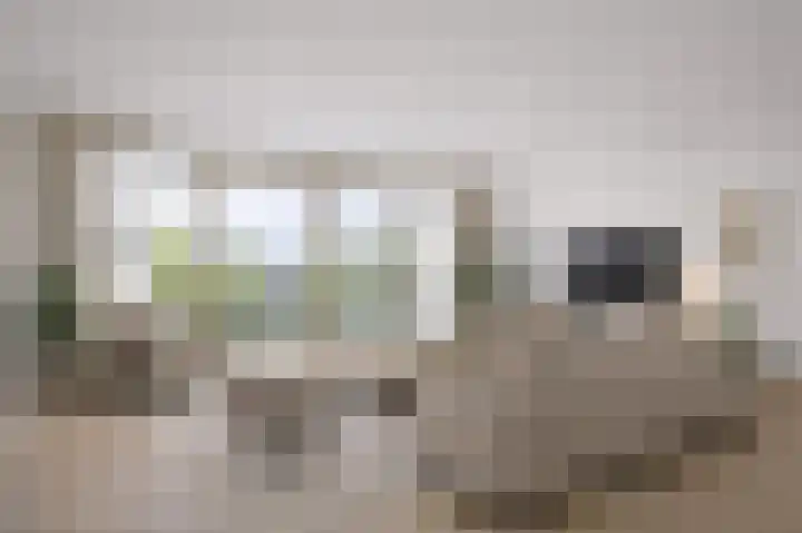 Speurgt 6 a Bakel thumbnail 49