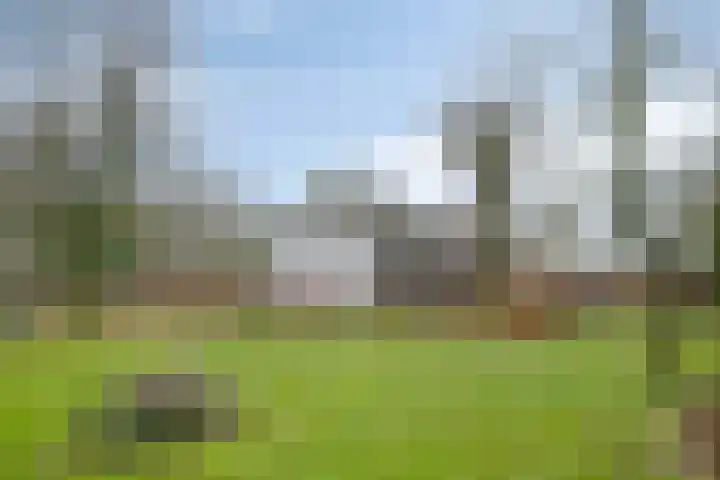 Speurgt 6 a Bakel thumbnail 5