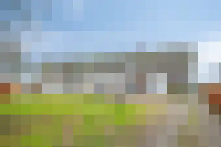 Speurgt 6 a Bakel thumbnail 8
