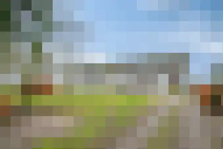 Speurgt 6 a Bakel thumbnail 9