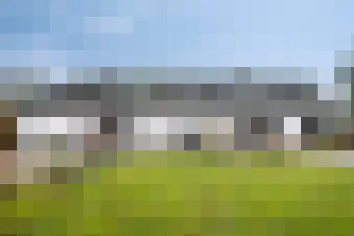 Speurgt 6 Bakel