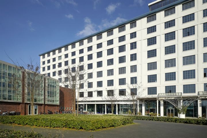 Sphinxcour 6K-03 in Maastricht foto