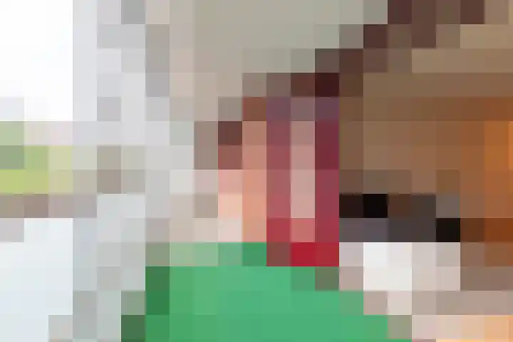 Sphinxlunet 48 D Maastricht thumbnail 10