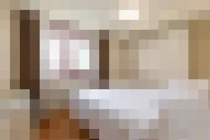 Sphinxlunet 48 D Maastricht thumbnail 16