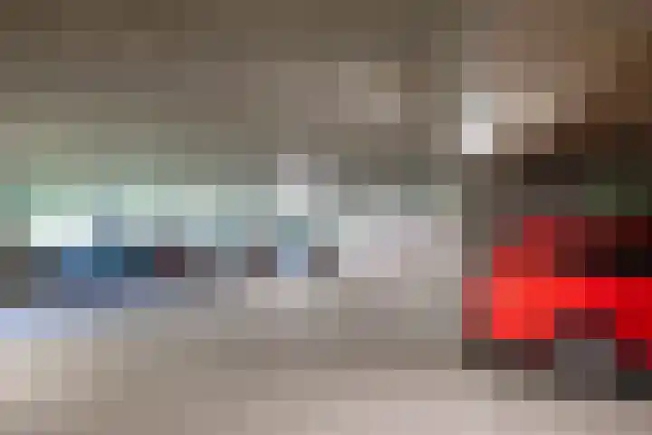 Sphinxlunet 48 D Maastricht thumbnail 18
